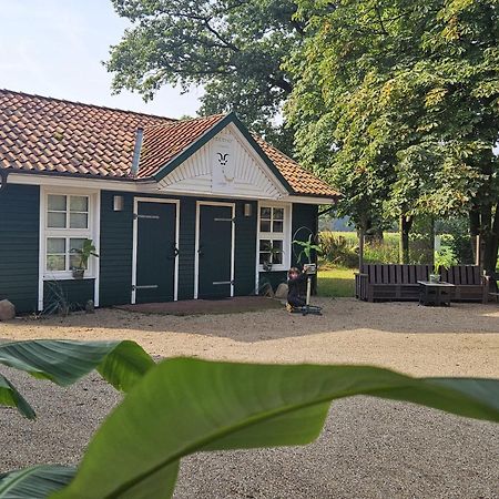Ferienhaus Banana Lodge ブルッフハウゼン・ヴィルセン エクステリア 写真