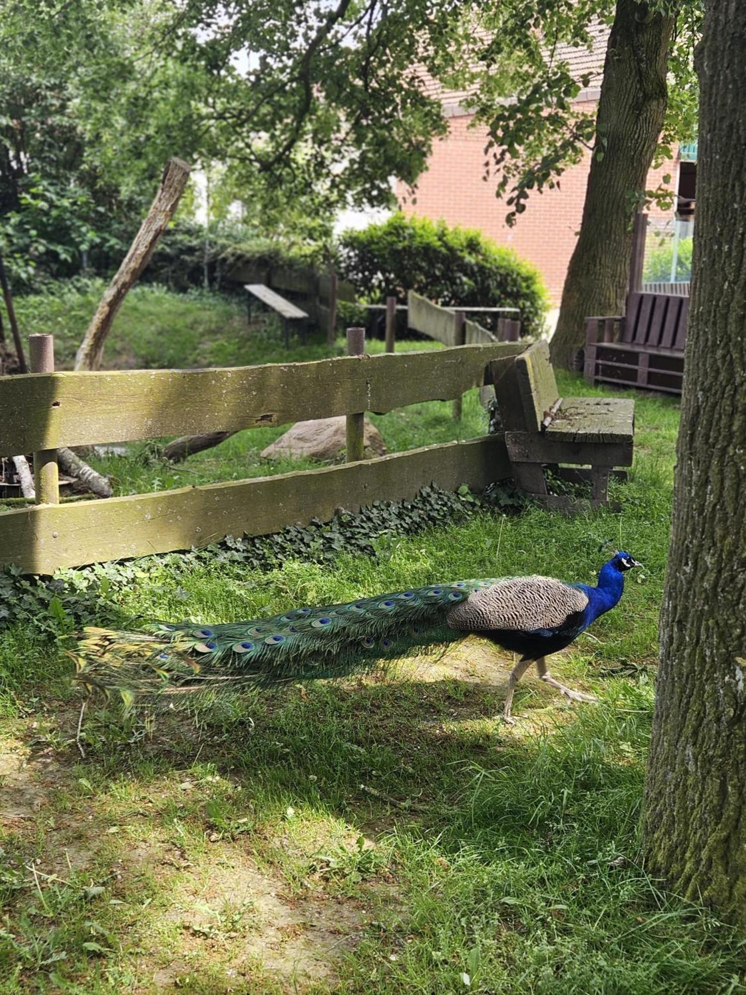 Ferienhaus Banana Lodge ブルッフハウゼン・ヴィルセン エクステリア 写真