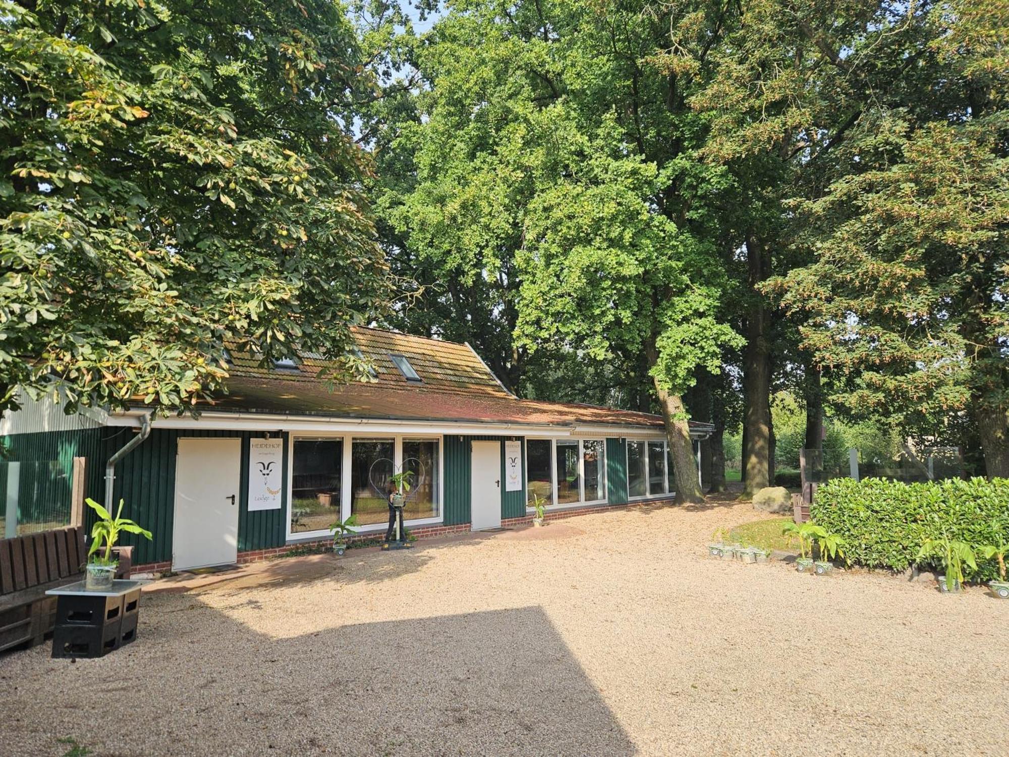 Ferienhaus Banana Lodge ブルッフハウゼン・ヴィルセン エクステリア 写真