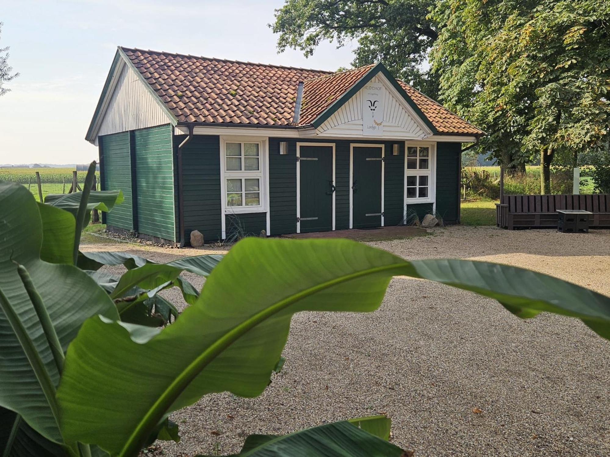 Ferienhaus Banana Lodge ブルッフハウゼン・ヴィルセン エクステリア 写真